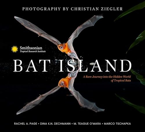 Bat Island: A Rare Journey into the Hidden World of Tropical Bats