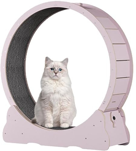 Katzenlaufrad für Hauskatzen, Laufband für Haustiere, mit Bremse, Laufrad für Katzen für die Gesundheit, interaktives Katzenspielzeug, mit Schloss und Teppichboden,Pink-XL