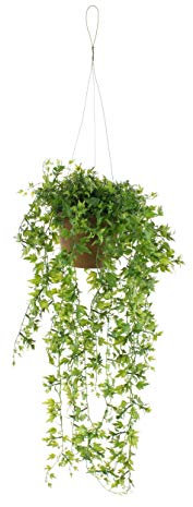 artplants.de Cesta Colgante Johanna de Hiedra, Verde, 50cm - Maceta Original - Elemento Decorativo