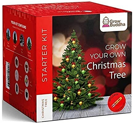 Grow Your Own Xmas Tree – Grow 4 Different Types of Christmas Tree at Home Beginner Friendly Tree Growing Starter Kit with Complete Instructions
