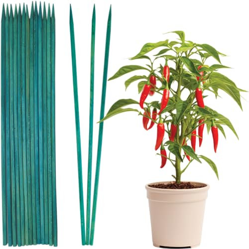Pack of 25 Green Plant Sticks - 60cm Weather Resistant Bamboo Canes, Plant Support Garden Stakes, Ideal for Straightening and Securing Plant Stems (Pack of 25 Green Plant Sticks (60cm))