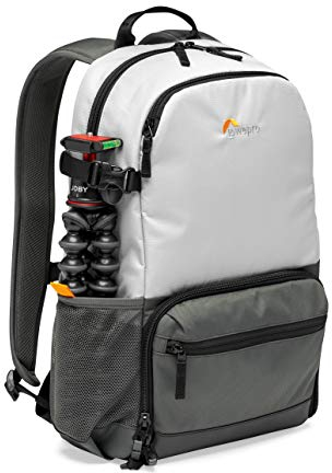 Lowepro LP37236-PWW Truckee BP 200 LX Outdoor-Kamerarucksack, fasst 13-Zoll-Tablet, für Einstiegs-DSLR/spiegellose Kamera, Sony, Canon, Nikon, 1-2 Objektive, Gimbal, Drohne, DJI, Osmo, Mavic, hellgrau