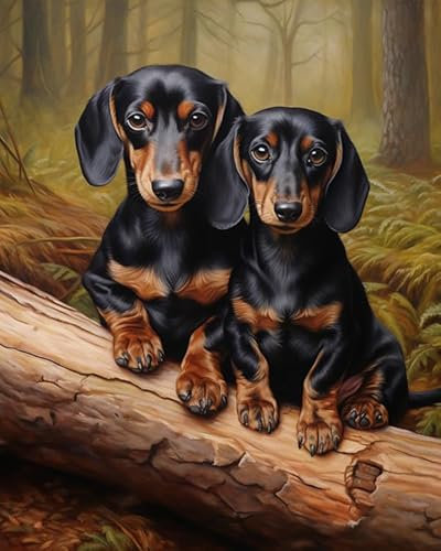 ZMHZMY Malen nach Zahlen Zwei Dackel Painting by Numbers Kit DIY ölgemälde Kit für Erwachsene,Anfänger Painting Set 16x20 Zoll Leinwanddruck Wandkunst Dekoration