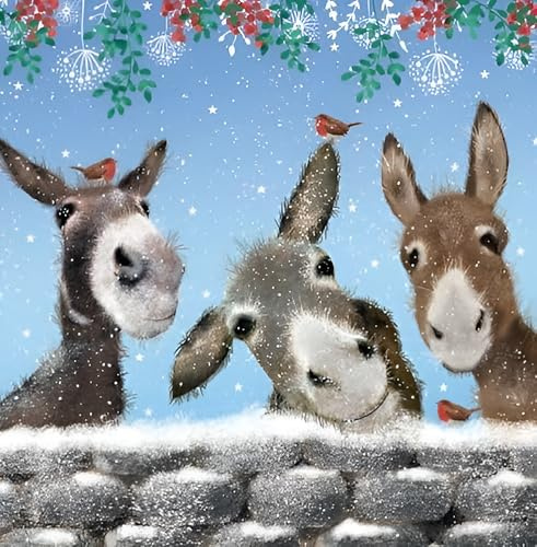 Noel Tatt Charity Christmas Cards Pack of 10 - Snowy Robins and Donkeys Design - Festive Christmas Cards Multipack - In Aid of UK Charities