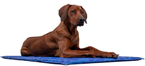 TrendPet Arctic Comfort - 20mm Premium Kühlmatte für Hunde, Selbstkühlende Matte für Haustiere, Extra Dick, Schaumstoff, 110x70cm
