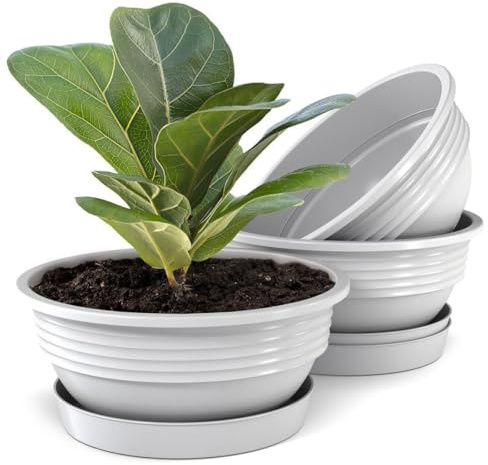 Plastard 3er Set Pflanzenschalen Ø 32 cm mit Untersetzer rund – Weiß | Witterungs-, UV- & frostbeständig, inkl. 24 cm Untersetzer, ideal für Garten, Balkon & Innenbereiche, Deko Blumenschale
