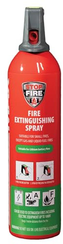 ReinoldMax Pequeño extintor de coche, mini extintor de barco, extintor de caravana, extintor eléctrico, mini extintor de barbacoa, Aerosol 5 en 1 para todos los fuegos, extintor comercial, 750ml