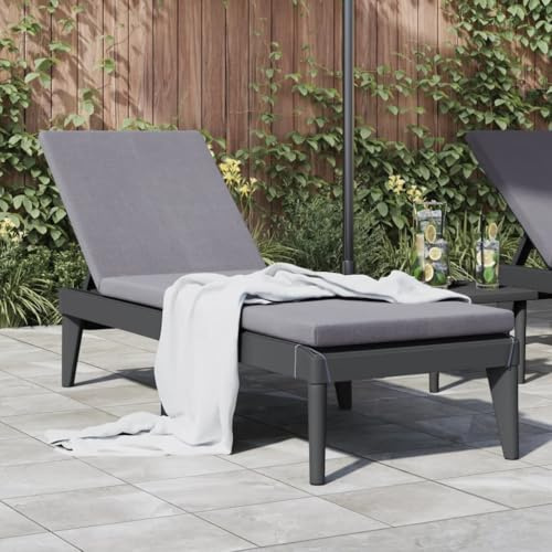 Frdhee Saunaliege Strandkorb,Sonnenliege Anthrazit 186x60x29 cm PP,Relaxliege für Innen und Außen