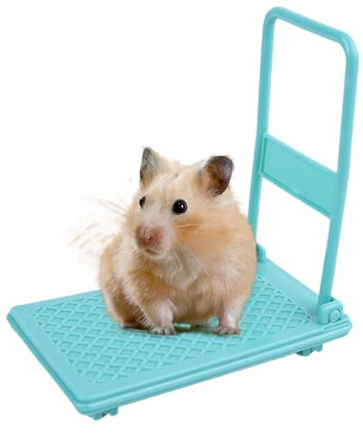 Giocattoli per criceti – divertente decorazione carrello con ruote | Forniture per criceti | per roditori animali domestici bambini casa gioco gabbia foto puntelli