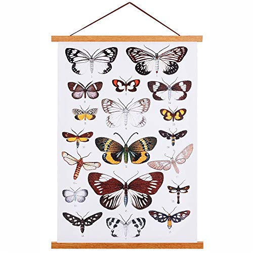 Ywlake B2 Cadre Photo Magnétique 50 cm, Cadre Poster Porte Affiches 50x70 50x100 Aimanté en Bois Naturel pour Affiche Cadre Magnetique Cadre Affiche Cadre Suspendu (50cm, Teck)