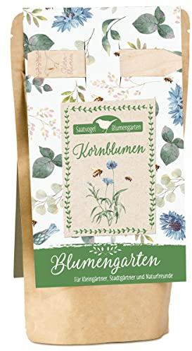 Kornblumen: Blumengarten