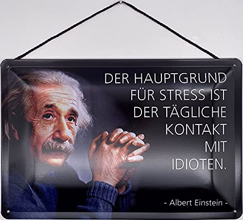 Blechschild mit Kordel 30 x 20 cm Albert Einstein: Der Hauptgrund für Stress ist der tägliche Kontakt mit Idioten. - Blechemma