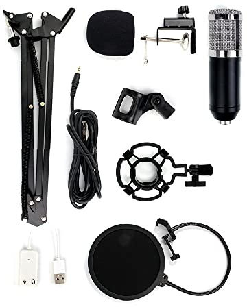 Kondensatormikrofon-Kit BM-800 Mikrofon-Set mit verstellbarem Mikrofon-Aufhängung, Scherenarm, Metallstoßhalterung und doppellagigem Pop-Filter für Studioaufnahmen, Rundfunk (Schwarz + Silber)