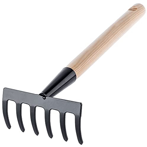 KADAX Kleine Harke aus Metall, Rechen mit Stiel aus Holz, Laubbesen, Laubrechen, Rasenrechen für Garten, Gartenharke, Handrechen, Kleinfächerbesen (6 Zinken, Schwarz, Schwarz)