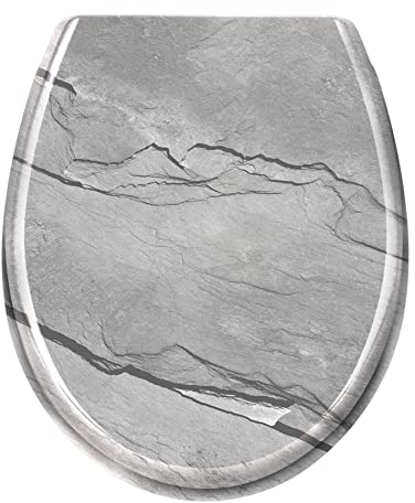 Froadp Toilettendeckel Klodeckel mit Absenkautomatik WC Sitz Toilettensitz aus Duroplast und Edelstahl Antibakteriell Toilettenbrille für Alle Handelsüblichen WC-Becken (Marmor)