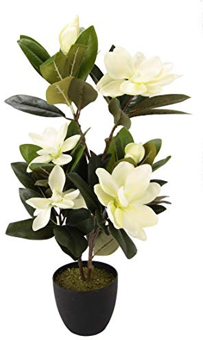 Kunstbaum Magnolie im Topf Magnolienbaum künstlich Kunstpflanze Kunstblume Blume Zimmerpflanze Topfblumen kleiner Deko Magnolienzweig Blüten Frühjahrsblumen Frühjahrsdeko Frühjahrsblüher Pflanze