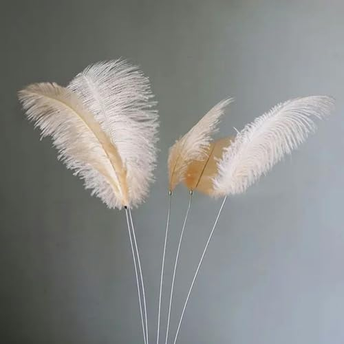 5pcs Ostrich Feather Decor Home Decor Office Decor Artificial Iron Wire Flower Stem Natural Plumes Colored Feathers-Champagne