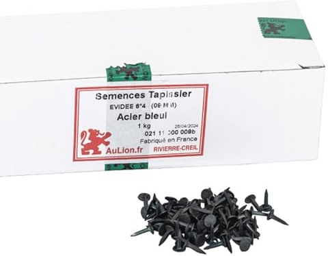 Semences Tapissier Évidées 9 mm 6/4 - Ø 5mm - 1kg - Petits Clous Tapissier de Haute Qualité pour Pose de Toiles, Sanglage, Guindage et Appointage - Fabriqué en France