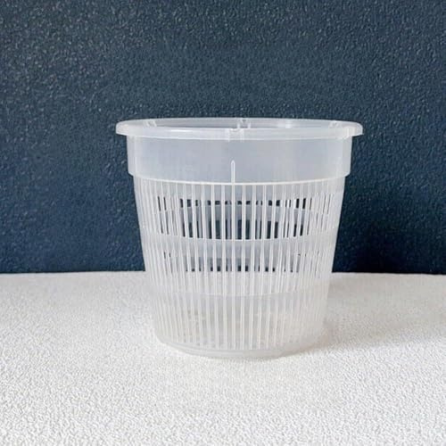 Solaughguy Lot de 10 pots à orchidées transparents avec trous et bases pour orchidées, plantes grasses, violettes et cactus - Pots de fleurs respirants (110 mm)