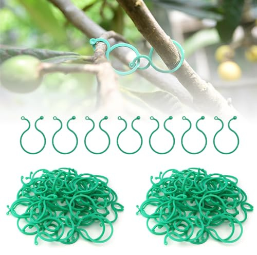 Gesicherter Pflanzen Clip, 2024 Neuest pflanzenclips 100/200 pcs, Pflanzenklammern klein zur Rankhilfe und Befestigung von Pflanzen, Praktischer Pflanzenstützclip für Tomate Gurken (100, grün-groß)