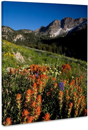 3dRose USA, Utah, Uinta-Wasatch-Cache NF, Albion Basin, meadow flowers Museum Grade Canvas Wrap 8x10
