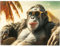 Kare Design Cuadro de Cristal Holiday Monkey, Colorido, 80x60 cm, Rectangular, Vidrio de Seguridad ESG 4mm, Animal Print, Mono, Decoración de Pared, Dormitorio, Salón, Cristal