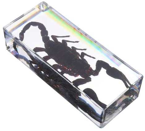 Gatuida Insektenexemplar Briefbeschwerer Aus Klarem Acrylharz Hochtransparente -spezimen Edukatives Dekor Für Büro Und Wissenschaftsinteressierte Einzigartiges Sammlerstück