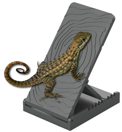 Solplats ramp för bartagame | Terrarium solsten skifferplatta för Gecko | Höjdjusterbara sköldpaddor terrarium dekoration att med för ormar kameleont vass grodor