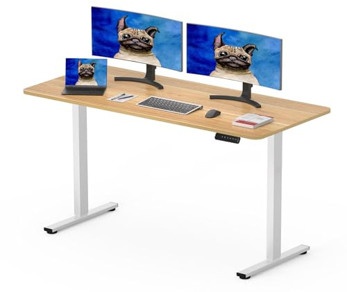 SANODESK Q1 Elektrischer höhenverstellbarer Schreibtisch, 120 x 60 cm, mit kompletter Tischplatte, höhenverstellbar, mit 4 Höhenspeichervoreinstellungen, intelligentes Panel, ideal für Home Office