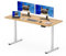 SANODESK Q1 Escritorio Elevable Eléctrico 120 x 60 cm, con Tablero Entero, Altura Ajustable, con 4 preajustes de Memoria de Altura, Panel Inteligente, Ideal para Oficina en casa (Arce)