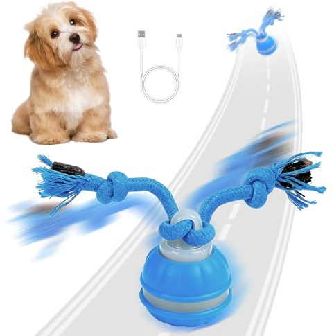 Balle Interactive Chien - Jouet Interactif Chien,Balles Intelligent électriques avec Chant d'Oiseaux et Ficelle,Rechargeable,Jouet Chiens Pour jeux intérieur/extérieur chiots et petits chiens (bleu)