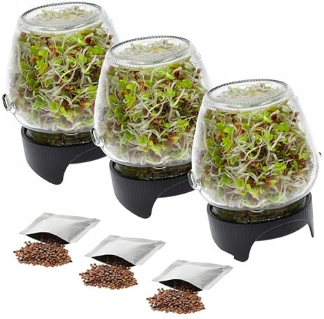 3 X KEIMBOX Keimgarten, Keimgerät, Keimglas Twist-Off + Radieschensamen