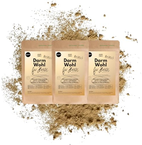 People who Kaer Darm Wohl Darmpulver für Hunde, 3X 200g – Präbiotika & Probiotika Hund auf Basis von Reis und Banane, Darmsanierung und Durchfall Hund, Darmflora Aufbau nach Durchfall