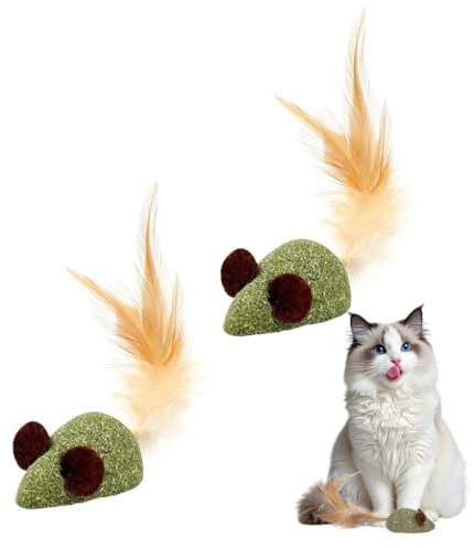AYVRUOP 2 Stück Katzenspielzeug,Katzenminze Spielzeug, Pure und Natürliche Katzenminze,Essbar,Interaktives für Indoor Katzen Spielzeug, Orale Zahnreinigung, Haarbälle Entfernung,Geschenke für Katzen