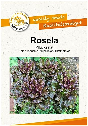 Salatsamen Rosela Pflücksalat Portion