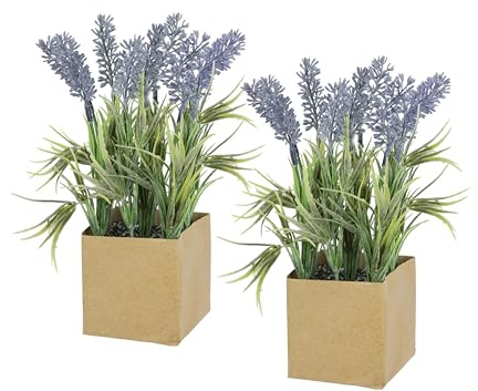 Flair Flower 2er-Set künstliche Lavendel-Pflanzen – Dekopflanzen im quadratischen Papiertopf – ca. 20 cm hoch – Kunstblumen für Zuhause, Büro & Geschenkideen 2er Set, violett