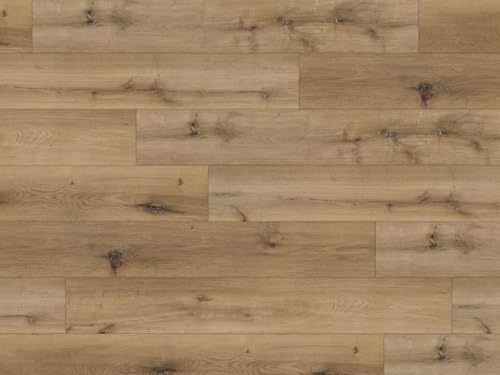 HPFloor Vinylboden selbstklebend, 2mm Eiche Normandy, PVC Bodenbelag selbstklebend, feuchtraumgeeignet, selbstklebende Bodenfliesen, Vinyl Fliesen selbstklebend, strapazierfähig, pflegeleicht.