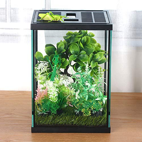 crapelles Schwarzes kleines vertikales Insektenglas-Terrarium, 20 x 20 x 27 cm, Reptilienbehälter, für Vogelspinne, Larven, Raupe, Frosch, Schnecke, Spinne, Einsiedler, Krabben, Lebensraum, Behälter,