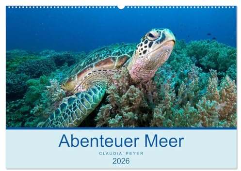 Abenteuer Unterwasser (Wandkalender 2026 DIN A2 quer), CALVENDO Monatskalender: Unterwasseraufnahmen aus den tropischen Gewässern um Indonesien (Raja Ampat), Bali und Fiji (CALVENDO Tiere)