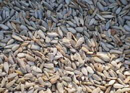 sunflower hearts 12.5kg