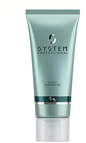 System Professional