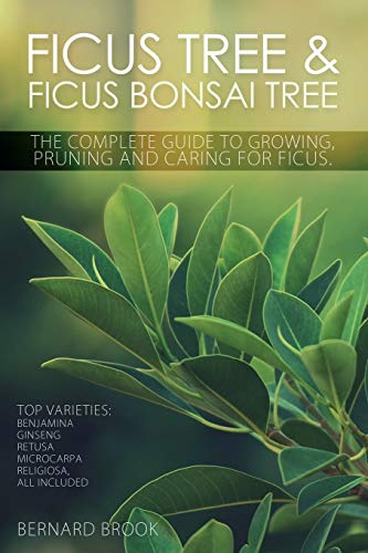 Ficus Tree and Ficus Bonsai Tree - The Complete Guide to Growing, Pruning and Caring for Ficus: Benjamina, Ginseng, Retusa, Microcarpa, Religiosa all included.