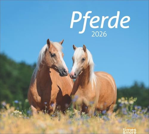 times&more Pferde Bildkalender 2026: times&more Tierkalender für Pferdefreunde. Kalender mit spektakulären Fotos edler Pferde. Wand-Kalender 2026. (times&more Kalender Heye)