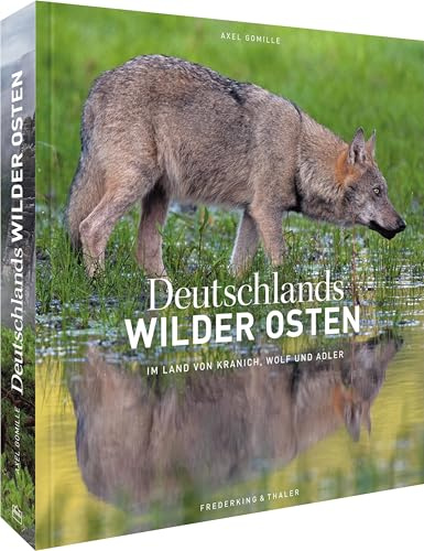 Bildband: Deutschlands wilder Osten: Im Land von Kranich, Wolf und Adler. Faszinierende Porträts wilder Tiere in freier Wildbahn. Mit einzigartigen Fotos sehr seltener, fast ausgestorbener Arten.