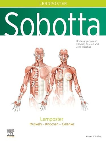 Sobotta Lernposter Anatomie: Muskeln - Knochen - Gelenke (VORKLINIK - Lehrbuch - Urban & Fischer-Verlag)