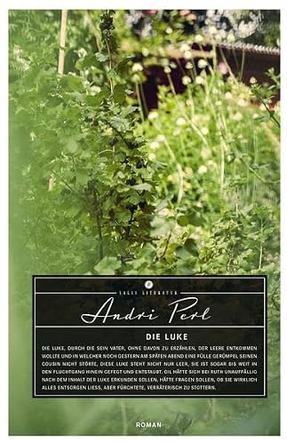 Salis Verlag ein Imprint der Elster & Salis AG