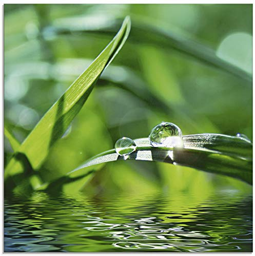 ARTland Wanddeko Glasbilder Wandbild Glas Bild einteilig 50x50 cm Quadratisch Natur Botanik Pflanzen Gräser Wassertropfen Gras Sommer Sonne Grün T5SE