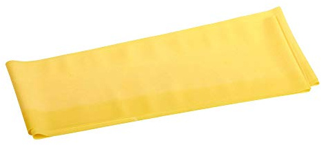 THERABAND Old Version