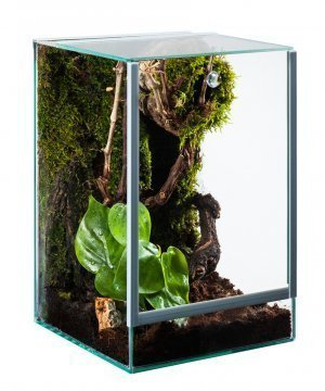 Glas Terrarium Glasterrarium 15x15x20 15 20 Falltür