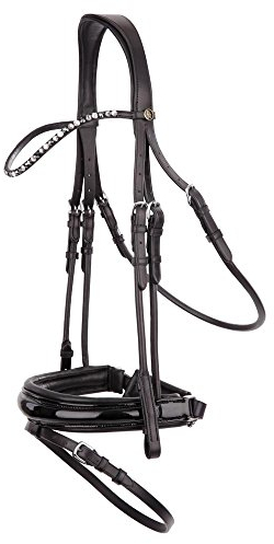 BR Trensenzaum Andover